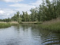 NL, Noord-Brabant, Drimmelen, Buiten Kooigat 40, Saxifraga-Willem van Kruijsbergen