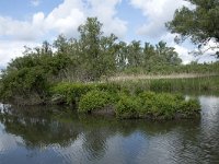 NL, Noord-Brabant, Drimmelen, Buiten Kooigat 46, Saxifraga-Willem van Kruijsbergen