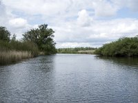 NL, Noord-Brabant, Drimmelen, Buiten Kooigat 48, Saxifraga-Willem van Kruijsbergen