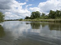 NL, Noord-Brabant, Drimmelen, Buiten Kooigat 54, Saxifraga-Willem van Kruijsbergen