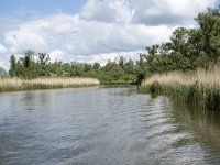 NL, Noord-Brabant, Drimmelen, Buiten Kooigat 56, Saxifraga-Willem van Kruijsbergen