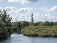 NL, Noord-Brabant, Drimmelen, Buiten Kooigat 58, Saxifraga-Willem van Kruijsbergen