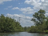 NL, Noord-Brabant, Drimmelen, Buiten Kooigat 7, Saxifraga-Jan van der Straaten