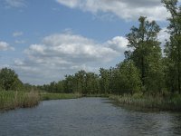 NL, Noord-Brabant, Drimmelen, Buiten Kooigat 9, Saxifraga-Jan van der Straaten