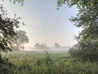 NL, Noord-Brabant, Drimmelen, De Dood 1, Saxifraga-Bart Vastenhouw