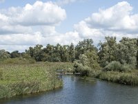 NL, Noord-Brabant, Drimmelen, Gat van Honderd en Dertig 11, Saxifraga-Willem van Kruijsbergen