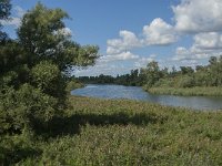 NL, Noord-Brabant, Drimmelen, Gat van Honderd en Dertig 4, Saxifraga-Jan van der Straaten