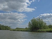 NL, Noord-Brabant, Drimmelen, Gat van Van Kampen 1, Saxifraga-Jan van der Straaten