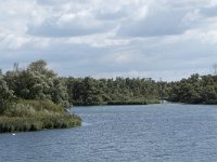 NL, Noord-Brabant, Drimmelen, Gat van Van Kampen 18, Saxifraga-Willem van Kruijsbergen