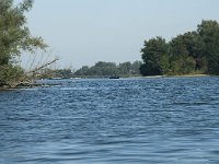 NL, Noord-Brabant, Drimmelen, Gat van Van Kampen 23, Saxifraga-Annemiek Bouwman