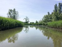 NL, Noord-Brabant, Drimmelen, Gat van de Buisjes 1, Saxifraga-Bart Vastenhouw