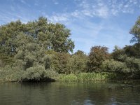 NL, Noord-Brabant, Drimmelen, Gat van de Buisjes 15, Saxifraga-Willem van Kruijsbergen