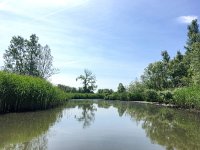 NL, Noord-Brabant, Drimmelen, Gat van de Buisjes 3, Saxifraga-Bart Vastenhouw