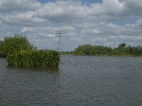 NL, Noord-Brabant, Drimmelen, Gat van de Noorderklip 5, Saxifraga-Jan van der Straaten