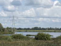 NL, Noord-Brabant, Drimmelen, Gat van de Noorderklip, Hout 2, Saxifraga-Willem van Kruijsbergen