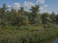 NL, Noord-Brabant, Drimmelen, Gat van de Slek 18, Saxifraga-Jan van der Straaten