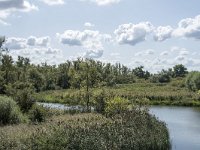 NL, Noord-Brabant, Drimmelen, Gat van de Slek 36, Saxifraga-Willem van Kruijsbergen