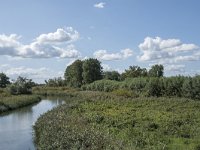 NL, Noord-Brabant, Drimmelen, Gat van de Slek 44, Saxifraga-Willem van Kruijsbergen