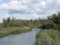 NL, Noord-Brabant, Drimmelen, Gat van de Slek 46, Saxifraga-Willem van Kruijsbergen