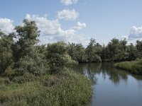 NL, Noord-Brabant, Drimmelen, Gat van de Slek 47, Saxifraga-Willem van Kruijsbergen