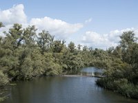 NL, Noord-Brabant, Drimmelen, Gat van de Slek 49, Saxifraga-Willem van Kruijsbergen