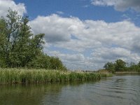 NL, Noord-Brabant, Drimmelen, Gat van de Vloeien 1, Saxifraga-Jan van der Straaten