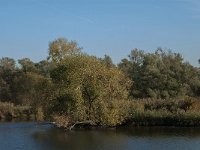 NL, Noord-Brabant, Drimmelen, Gat van de Vloeien 32, Saxifraga-Jan van der Straaten