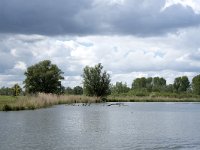 NL, Noord-Brabant, Drimmelen, Gat van de Vloeien 33, Saxifraga-Willem van Kruijsbergen