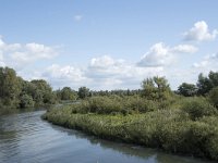 NL, Noord-Brabant, Drimmelen, Gat van de Vloeien 36, Saxifraga-Willem van Kruijsbergen