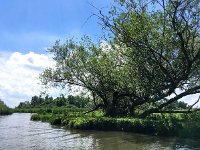 NL, Noord-Brabant, Drimmelen, Gat van de Zuiderklip 1, Saxifraga-Bart Vastenhouw