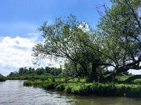 NL, Noord-Brabant, Drimmelen, Gat van de Zuiderklip 2, Saxifraga-Bart Vastenhouw