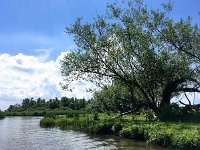 NL, Noord-Brabant, Drimmelen, Gat van de Zuiderklip 3, Saxifraga-Bart Vastenhouw