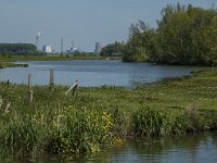 NL, Noord-Brabant, Drimmelen, Gat van den Ham 13 Saxifraga-Marijke Verhagen