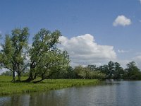 NL, Noord-Brabant, Drimmelen, Keesjes Jan Killeke 2, Saxifraga-Jan van der Straaten