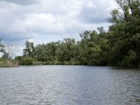 NL, Noord-Brabant, Drimmelen, Keesjes Jan Killeke 35, Saxifraga-Willem van Kruijsbergen