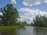 NL, Noord-Brabant, Drimmelen, Keesjes Jan Killeke 4, Saxifraga-Jan van der Straaten