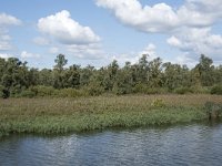 NL, Noord-Brabant, Drimmelen, Middelste Gat van het Zand 12, Saxifraga-Willem van Kruijsbergen