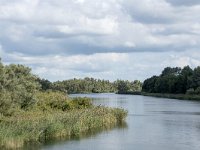 NL, Noord-Brabant, Drimmelen, Middelste Gat van het Zand 9, Saxifraga-Willem van Kruijsbergen