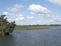 NL, Noord-Brabant, Drimmelen, Middelste Gat van het Zand, Polder Lepelaar 2, Saxifraga-Willem van Kruijsbergen