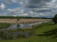 NL, Noord-Brabant, Drimmelen, Noorderplaat 20, Saxifraga-Jan van der Straaten