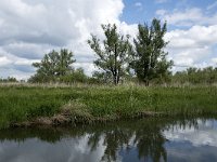 NL, Noord-Brabant, Drimmelen, Noorderplaat 57, Saxifraga-Willem van Kruijsbergen