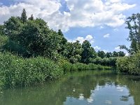 NL, Noord-Brabant, Drimmelen, Petrussloot 7, Saxifraga-Bart Vastenhouw