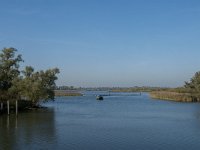 NL, Noord-Brabant, Drimmelen, Polder De Plomp 2, Saxifraga-Jan van der Straaten