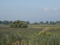 NL, Noord-Brabant, Drimmelen, Polder De Plomp 5, Saxifraga-Willem van Kruijsbergen