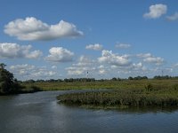 NL, Noord-Brabant, Drimmelen, Polder De Plomp 6, Saxifraga-Jan van der Straaten