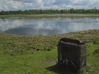 NL, Noord-Brabant, Drimmelen, Polder Lange Plaat 10, Saxifraga-Jan van der Straaten