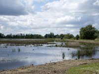 NL, Noord-Brabant, Drimmelen, Polder Lange Plaat 30, Saxifraga-Willem van Kruijsbergen