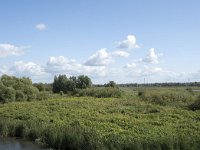 NL, Noord-Brabant, Drimmelen, Polder Lange Plaat 39, Saxifraga-Willem van Kruijsbergen