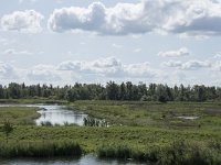 NL, Noord-Brabant, Drimmelen, Polder Lange Plaat 43, Saxifraga-Willem van Kruijsbergen