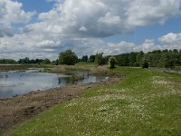 NL, Noord-Brabant, Drimmelen, Polder Lange Plaat 6, Saxifraga-Jan van der Straaten